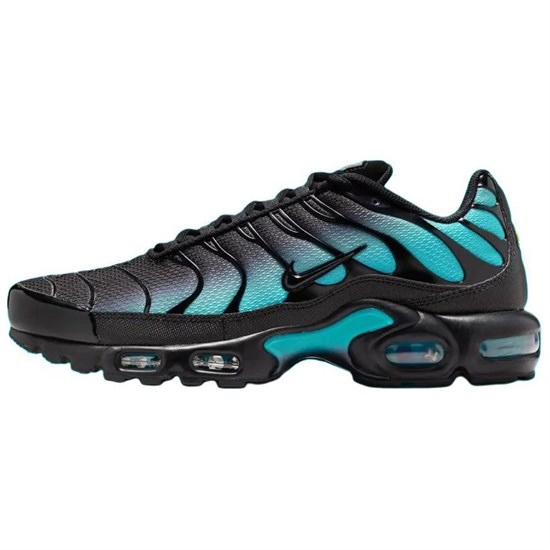 Nike Air Max Plus Black Dusty Cactus DM0032-016 - фото 605533