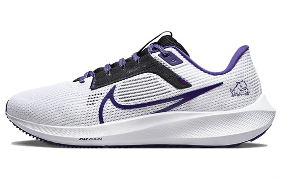 Nike Air Zoom Pegasus 40 'TCU' DZ5961-100 - фото 606518