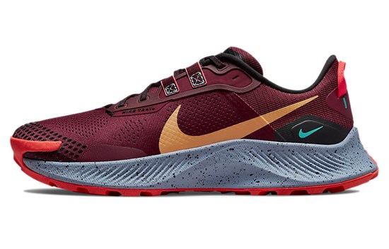 Nike Pegasus Trail 3 Dark Beetroot DA8697-600 - фото 610652