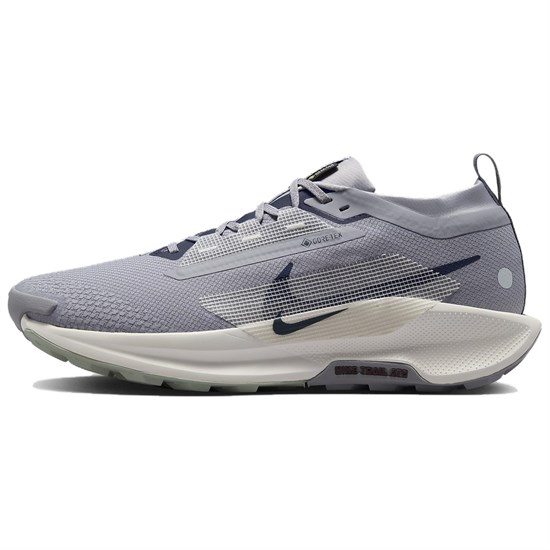 Nike Pegasus Trail 5 Gtx 'Cement Grey' FQ0908-006 - фото 610687