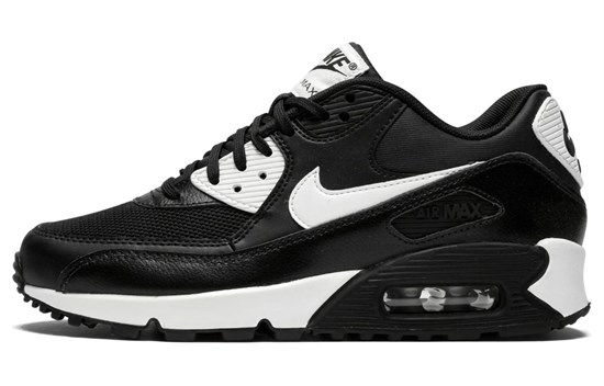 Nike Air Max 90 Essential Metallic Silver Women's 616730-023 - фото 613693