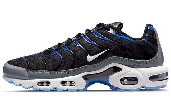 Nike Air Max Plus Black Royal Grey DH4776-003 - фото 623902