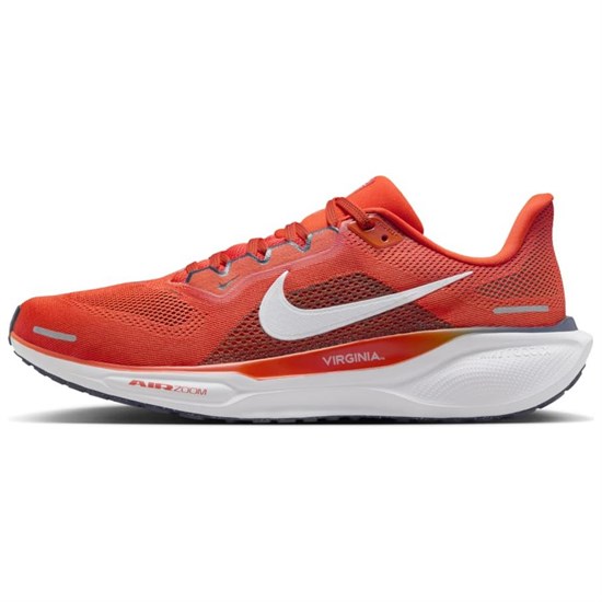 Nike Air Zoom Pegasus 41 Virginia FZ5151-800 - фото 624556