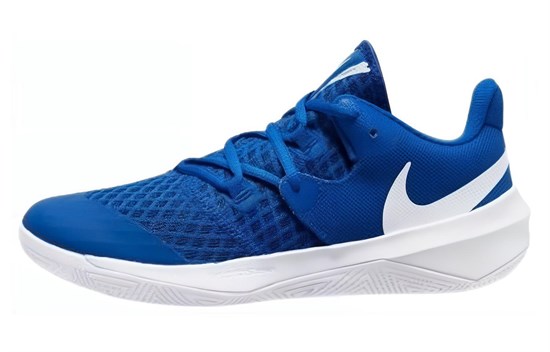 Nike Zoom Hyperspeed Court 'Game Royal' CI2964-410 - фото 628642