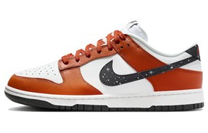 Nike Dunk Low 'Night Sky' FV6909-800