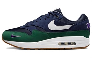 Nike Air Max 1 Gorge Green Women's DV3887-400