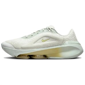 Nike Versair Series Anti Slip Wear Resistant Low Top Training Shoes Women's Gray Silver Green DZ3547-005