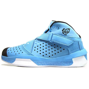 JORDAN 2010 Outdoor For The Love Of The Game 407744-401