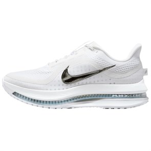 Nike Air Zoom Pegasus Premium White Metallic Silver HQ2592-102