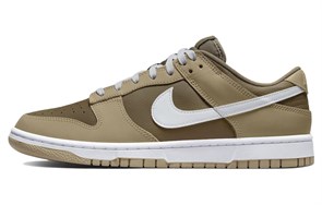 Nike Dunk Low Judge Grey DJ6188-200