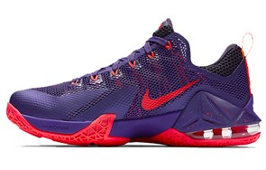 Nike LeBron 12 Low Court Purple 724558-565