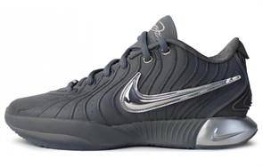 Nike Lebron 21 Ep 'Cool Grey' HF5353-001