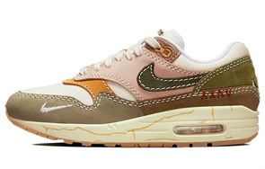 Nike Air Max 1 Premium Wabi Sabi Women's DQ8656-133