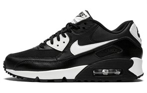 Nike Air Max 90 Essential Metallic Silver Women's 616730-023