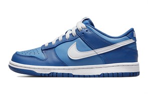 Nike Dunk Low Dark Marina Blue GS DH9765-400