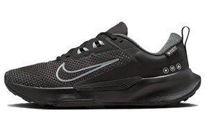 Nike Pegasus Trail 4 Gtx Waterproof Trail Running Shoes 'Black' Women's FB2065-001