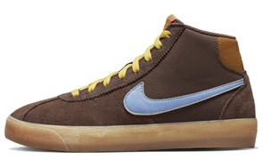Nike Sb Bruin High Why So Sad? Women's DX4325-200