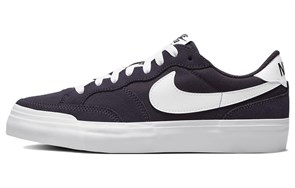 Nike Sb Zoom Pogo Cave Purple Women's DR9114-500