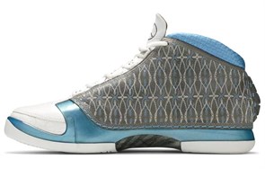 JORDAN 23 Titanium Numbered Edition 318474-151