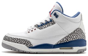 JORDAN 3 Retro True Blue 2009 136064-141
