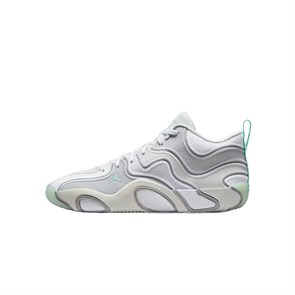 Jordan Tatum 3 Low Top Basketball Shoes Men's Silver FZ6601-005