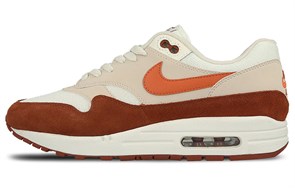 Nike Air Max 1 Mars Stone AH8145-104