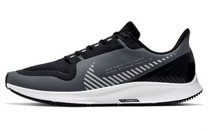 Nike Air Zoom Pegasus 36 Shield Cool Grey AQ8005-003