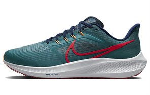 Nike Air Zoom Pegasus 39 Extra Wide 'Spruce Crimson' DM0174-302