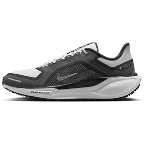 Nike Air Zoom Pegasus 41 Gore Tex Black Anthracite Iron Grey Summit White FQ1356-002