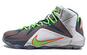 Nike LeBron 12 Trillion Dollar Man 705410-430