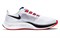 Nike Air Zoom Pegasus 37 White Concord DD8348-100 - фото 525150