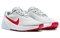 Nike Air Zoom TR1 'Pure Platinum University Red' DX9016-004 - фото 525684