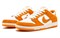 Nike Sb Dunk Low Circuit Orange 854866-881 - фото 538333