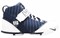 Nike Zoom LeBron 5 Yankees 'Blue White Blue' 317253-441 - фото 541412