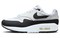 Nike Air Max 1 White Black Neutral Grey Women's DZ2628-102 - фото 545538