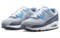 Nike Air Max 90 Se 'Platinum Ashen Slate' Women's FD0376-043 - фото 546550