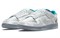 Nike Dunk Low Ice Women's DO2326-001 - фото 554457