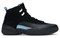 JORDAN 12 Retro Nubuck 2009 130690-018 - фото 596596
