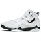 JORDAN True Flight White Oxidized Green 342964-131 - фото 598351