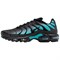Nike Air Max Plus Black Dusty Cactus DM0032-016 - фото 605533