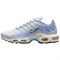 Nike Air Max Plus Daybreak Women's DZ3670-004 - фото 605556