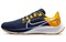 Nike Air Zoom Pegasus 38 'West Virginia' DJ0864-400 - фото 606453