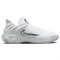 Nike Giannis Immortality 4 'Pure Platinum Black' FQ3680-100 - фото 608316