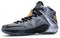 Nike LeBron 12 Flight 684593-080 - фото 609666
