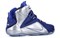 Nike LeBron 12 What If 684593-410 - фото 609692