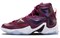 Nike LeBron 13 Written In The Stars 807219-500 - фото 609718