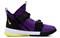 Nike LeBron Soldier 13 SFG EP 'Lakers' AR4228-500 - фото 610085