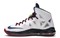 Nike LeBron X Sp Gold Medal 542244-100 - фото 610220