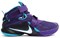 Nike Lebron Zoom Soldier 9 Ep James Soldier 9 Domestic Edition Purple/BlacBlue 749420-510 - фото 610263