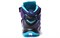 Nike Lebron Zoom Soldier 9 Ep James Soldier 9 Domestic Edition Purple/BlacBlue 749420-510 - фото 610265